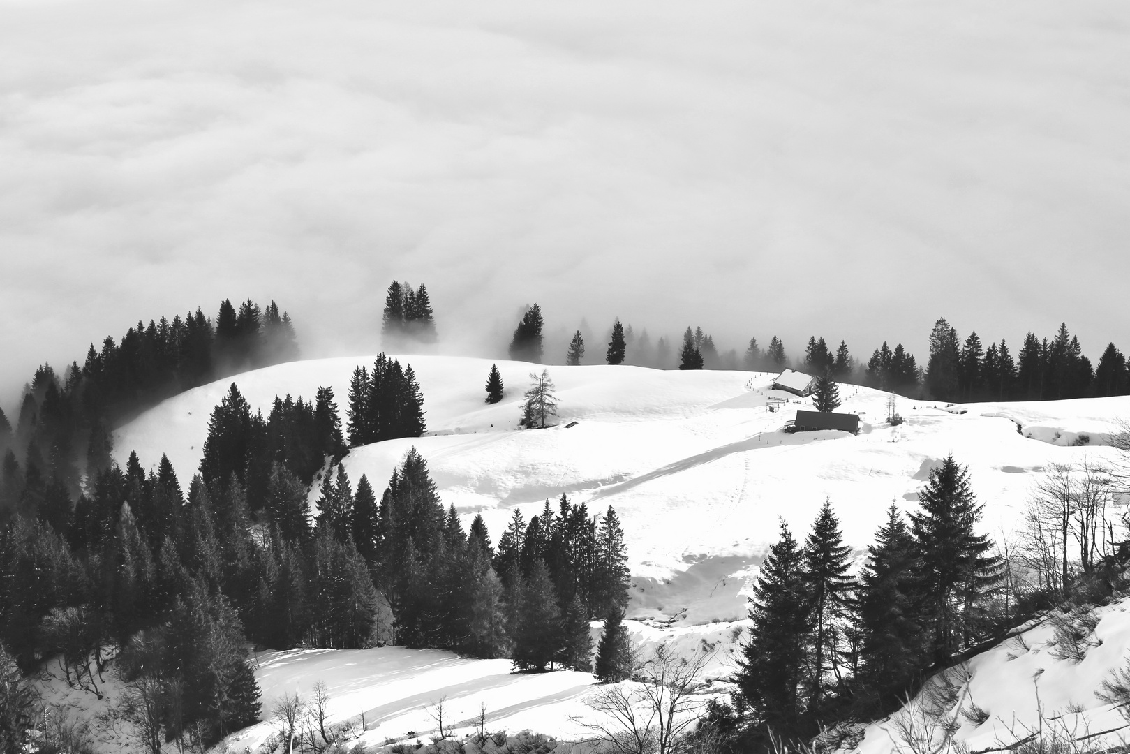 ~ über dem nebelmeer II ~