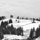 ~ über dem nebelmeer II ~