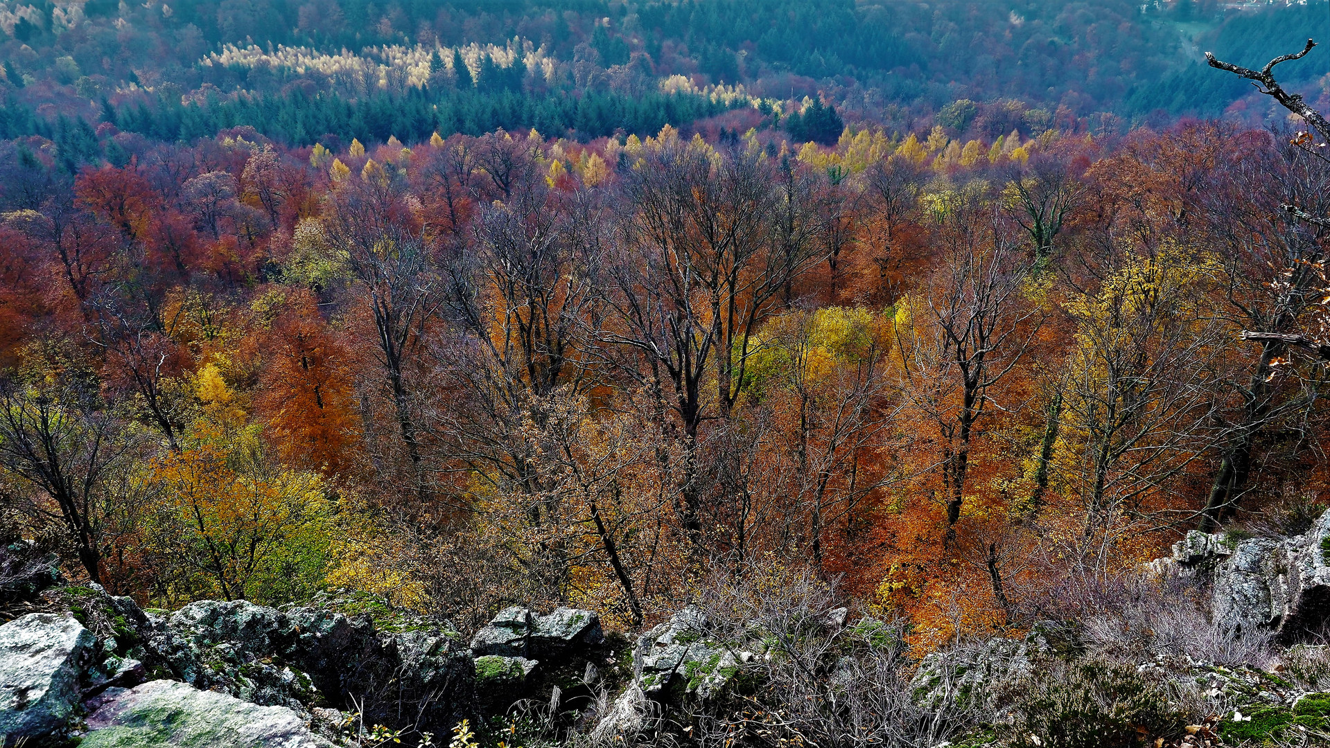 Über dem Novemberwald