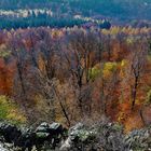 Über dem Novemberwald