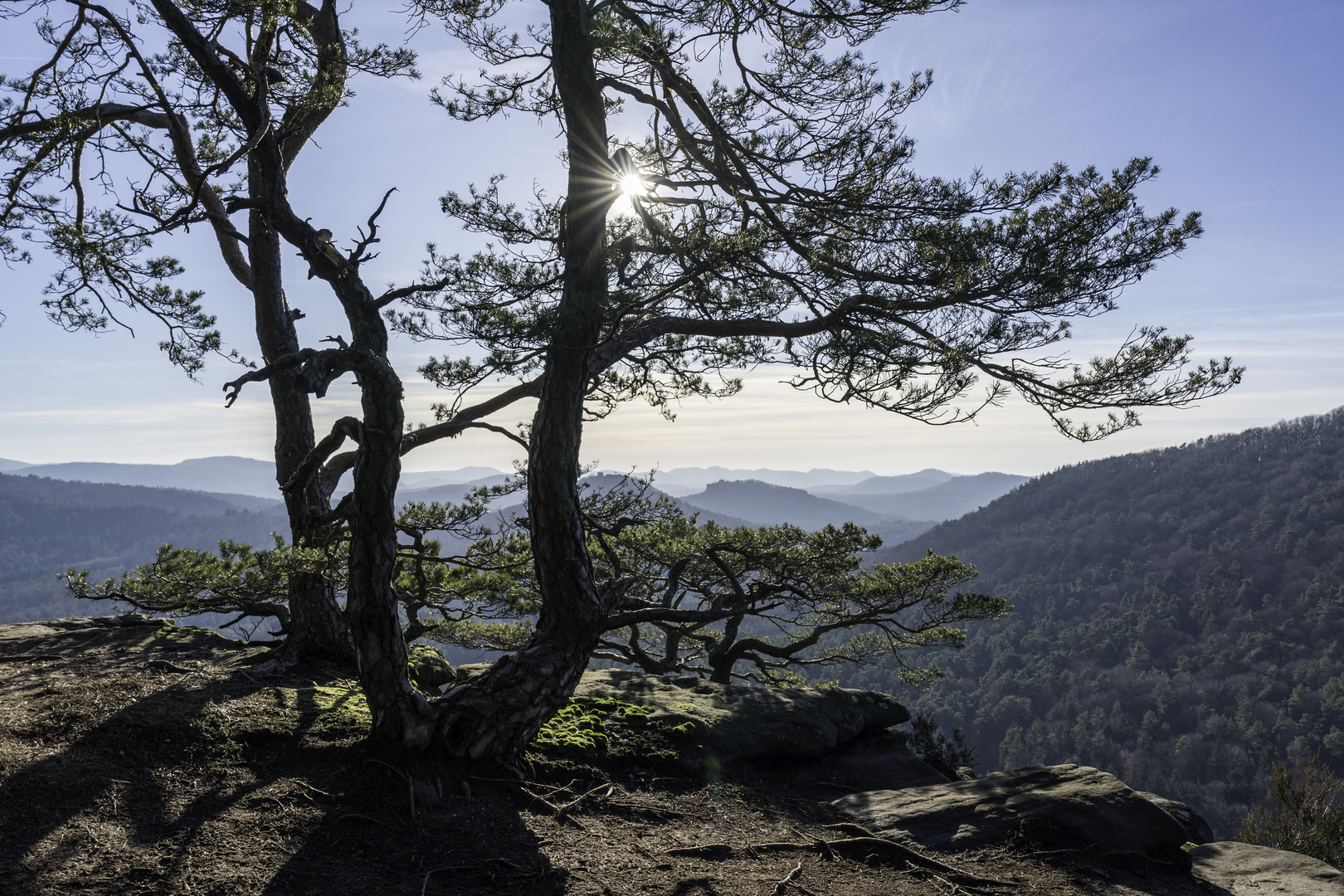 Über dem Pfälzerwald