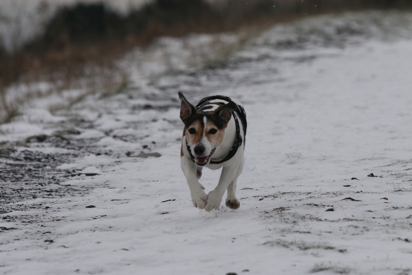 + über dem schnee +