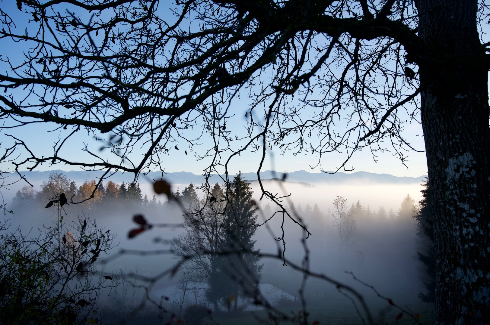 Über dem Wolkenmeer