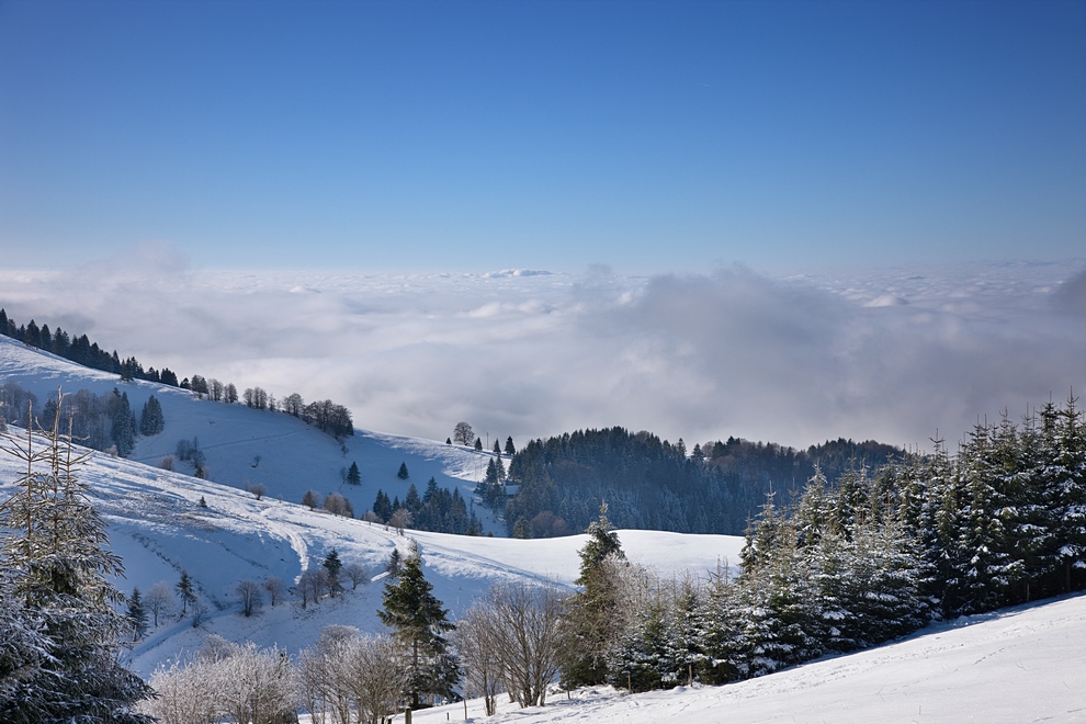 Über dem Wolkenmeer