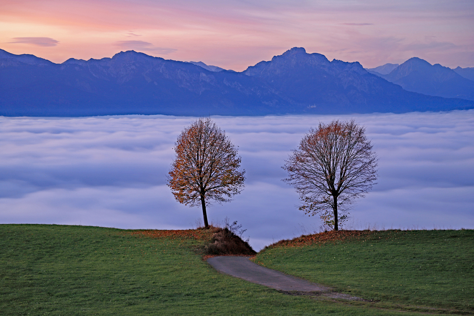 Über dem Wolkenmeer...