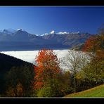 Über dem Zellersee