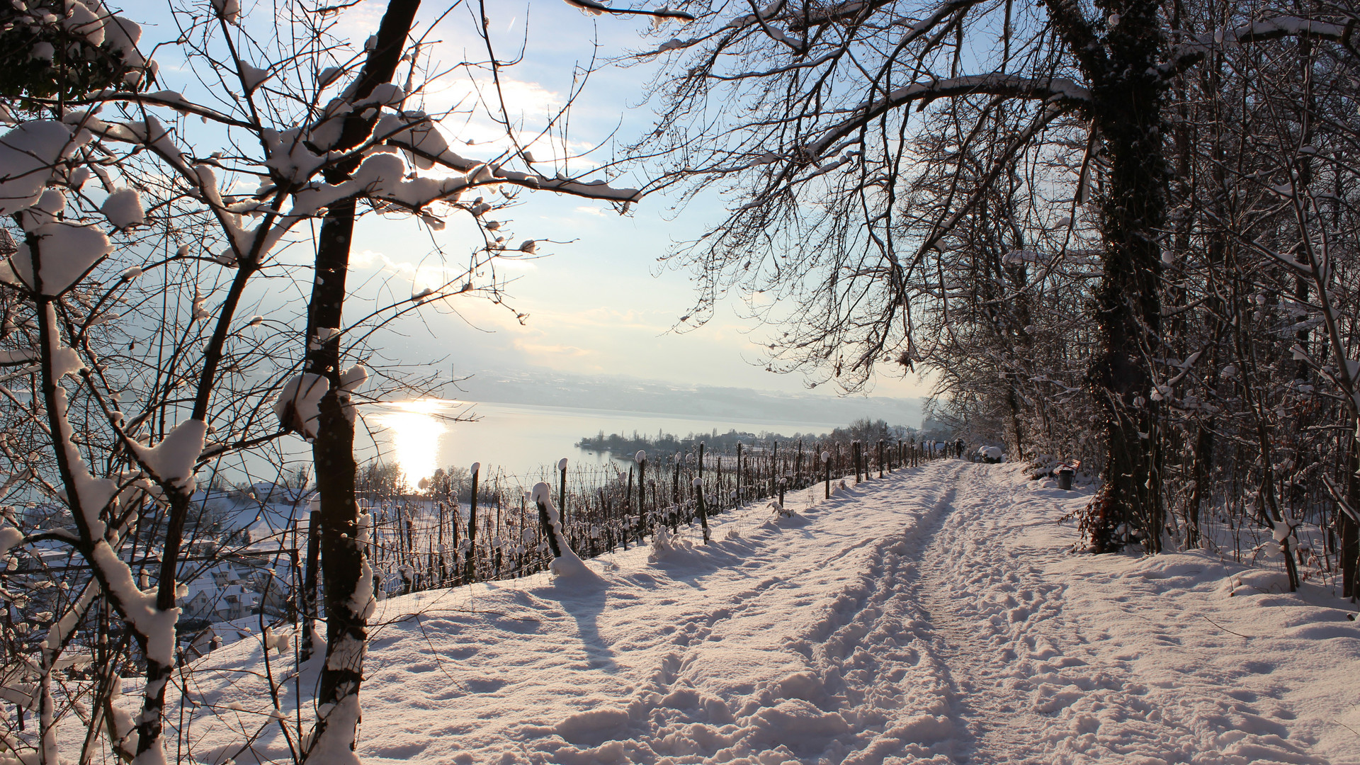 über dem Zürichsee