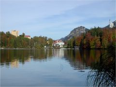 Über den Alpsee geschaut....