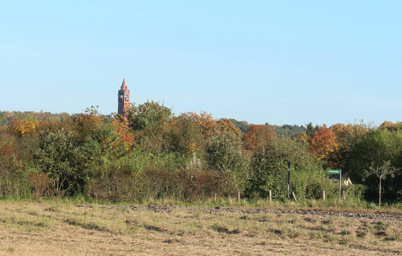 ueber den baeumen