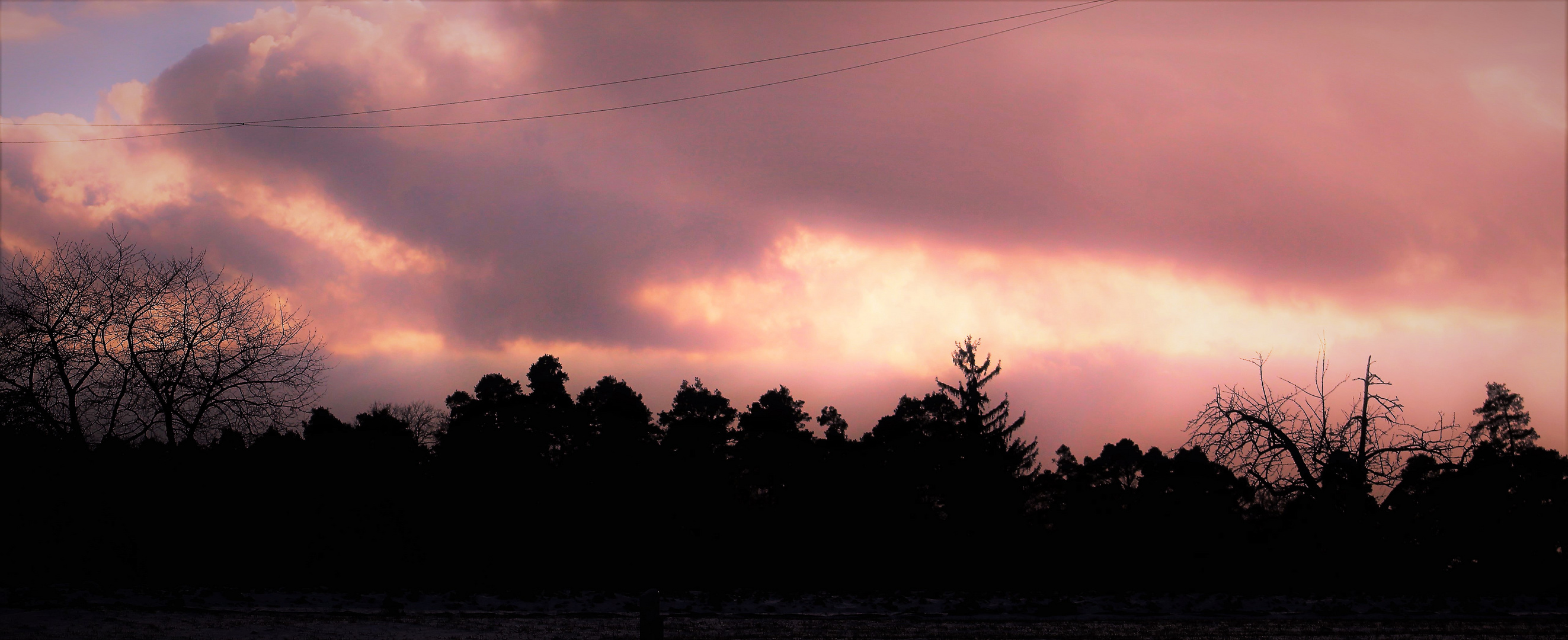 über den Bäumen die Wolken und Farben Stimmung beim  Abend Anbruch