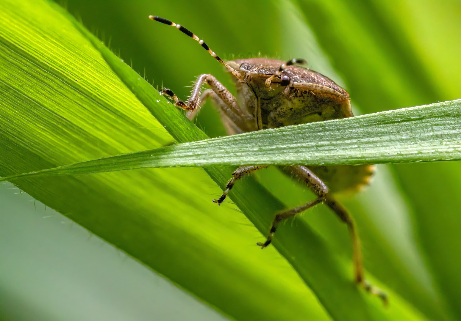 Über den Blattrand geschaut