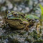 Über den Blattrand hinaus