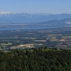 Über den Col de la Faucille (2)