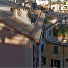 Über den Dächer von Castelletto - Genova