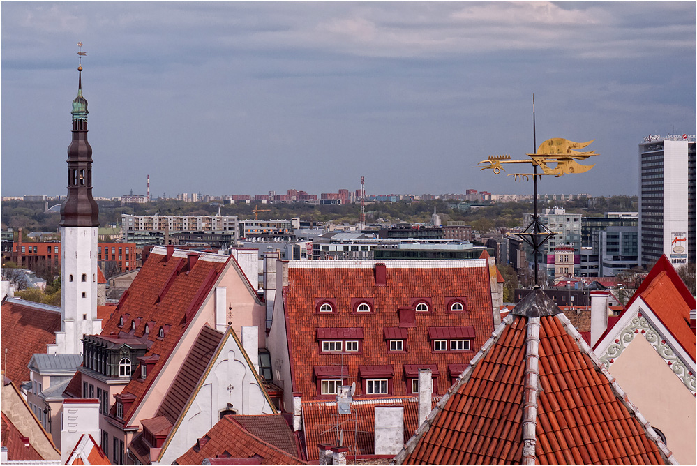 Über den Dächern der Stadt..