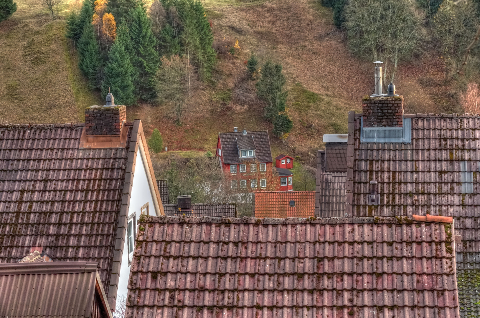 über den Dächern von Altenau