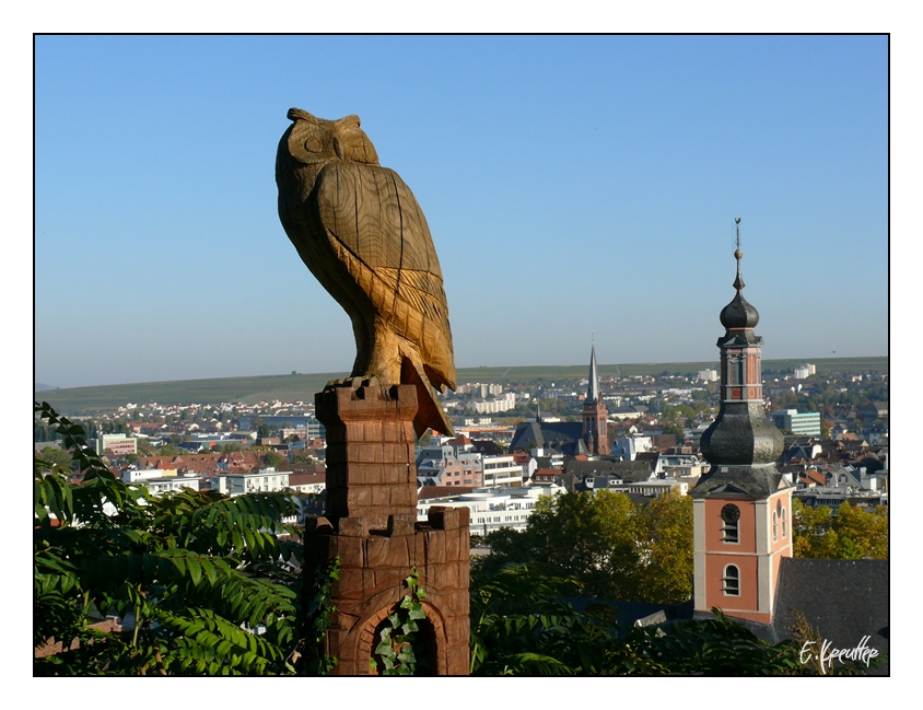 Über den Dächern von Bad Kreuznach