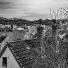 Über den Dächern von Flensburg