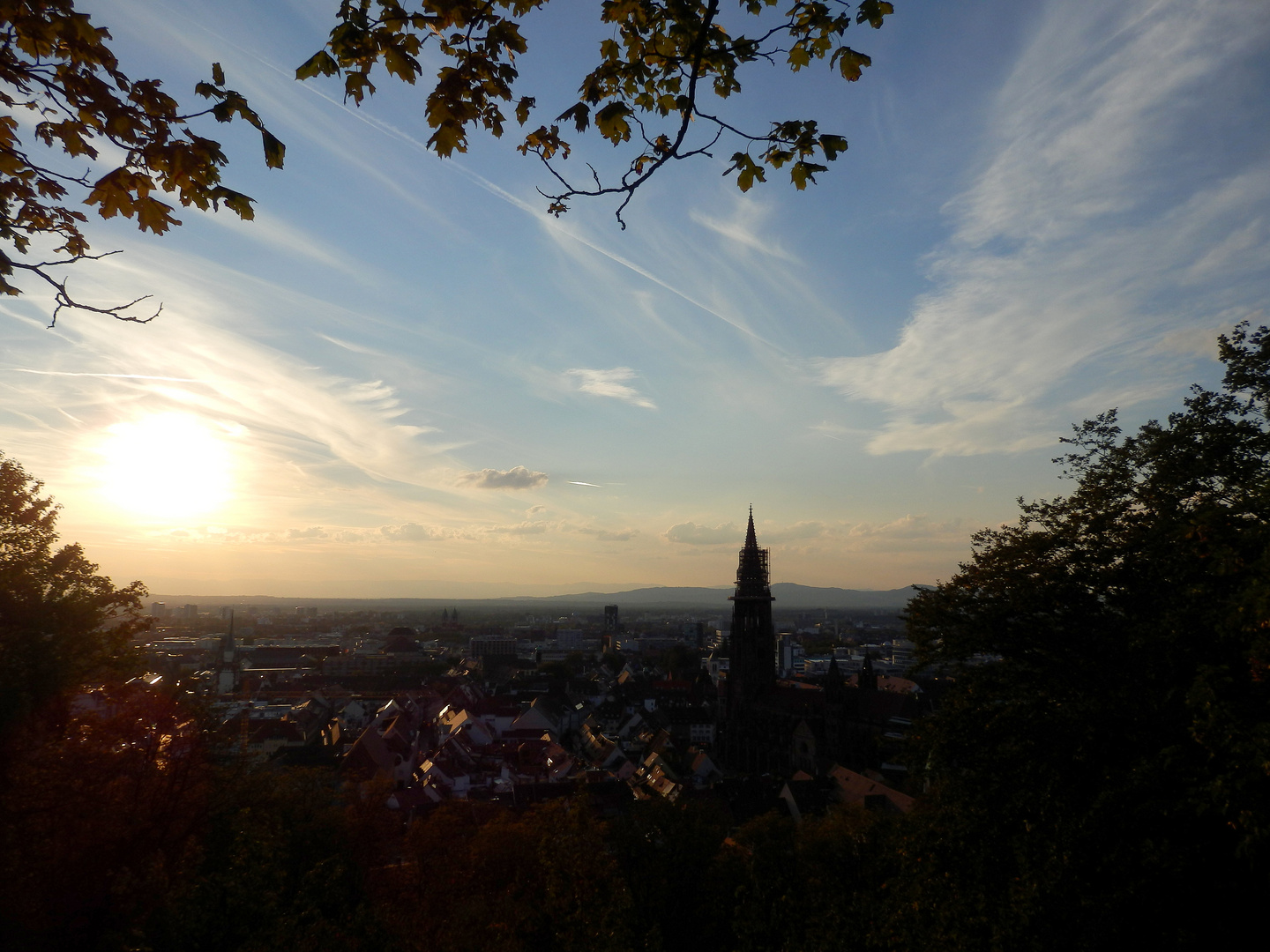 Über den Dächern von Freiburg1