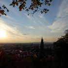 Über den Dächern von Freiburg1