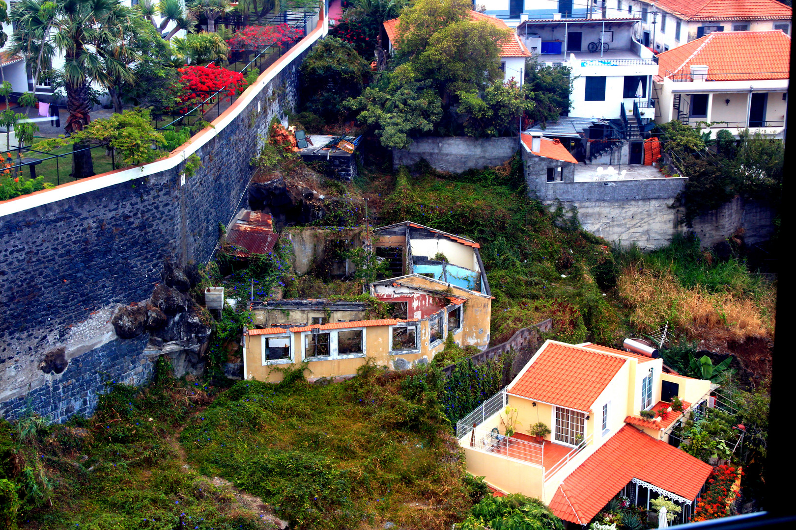 über den Dächern von Funchal