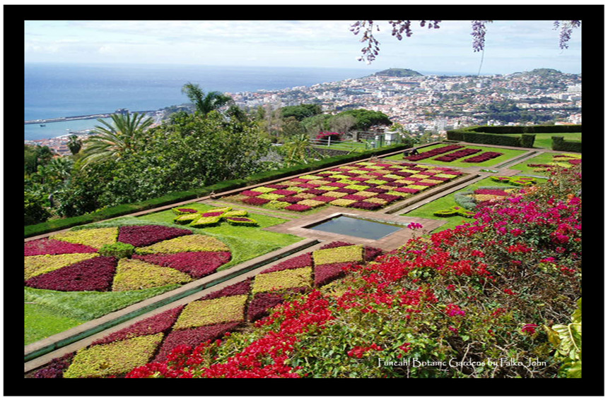 Über den Dächern von Funchal (Botanischer Garten)