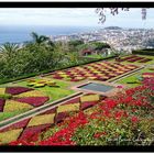 Über den Dächern von Funchal (Botanischer Garten)