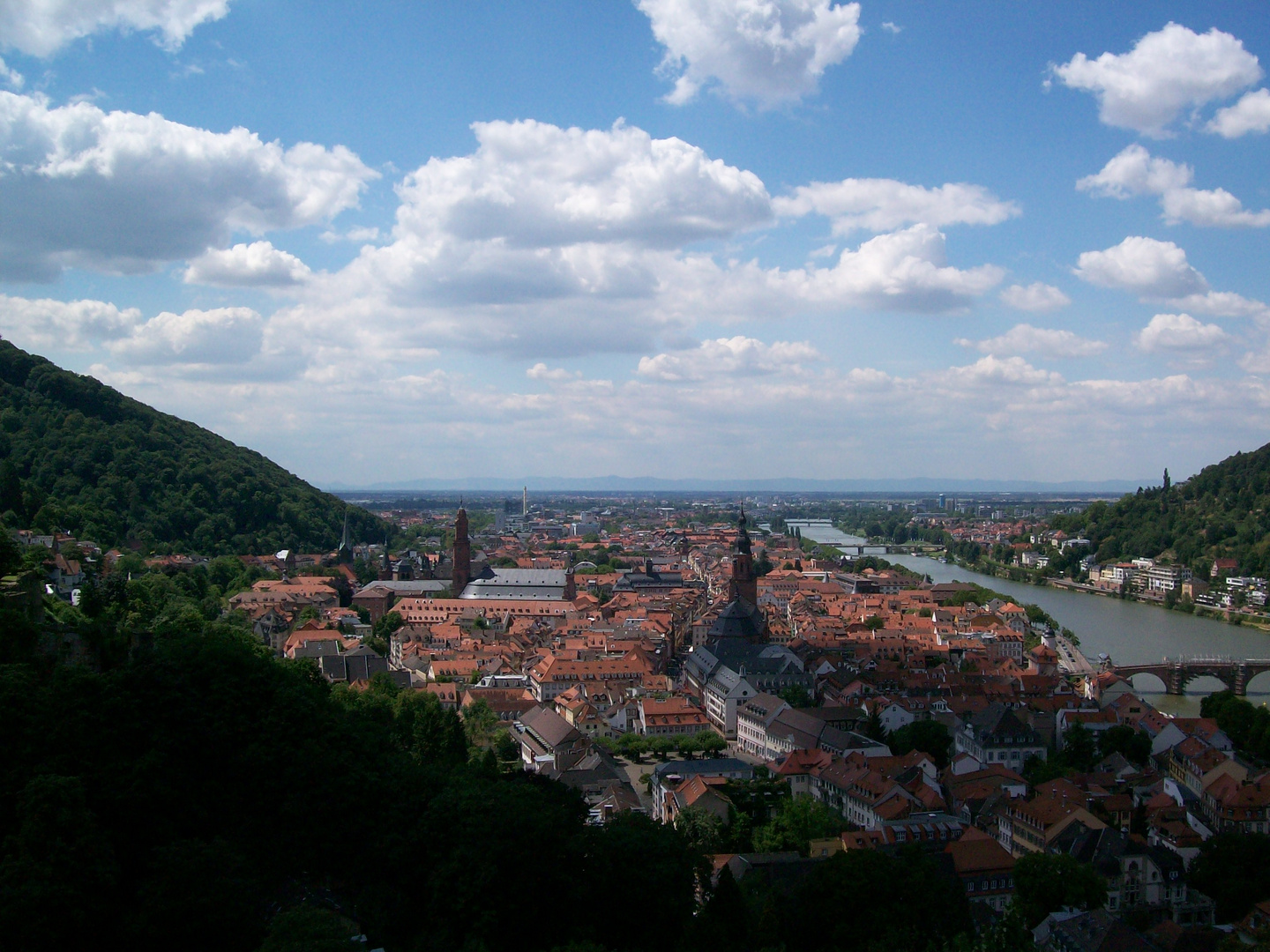 Über den Dächern von Heidelberg