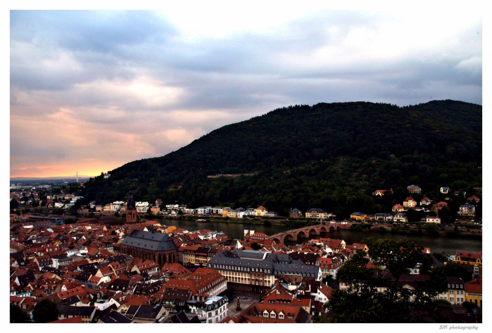 über den Dächern von Heidelberg