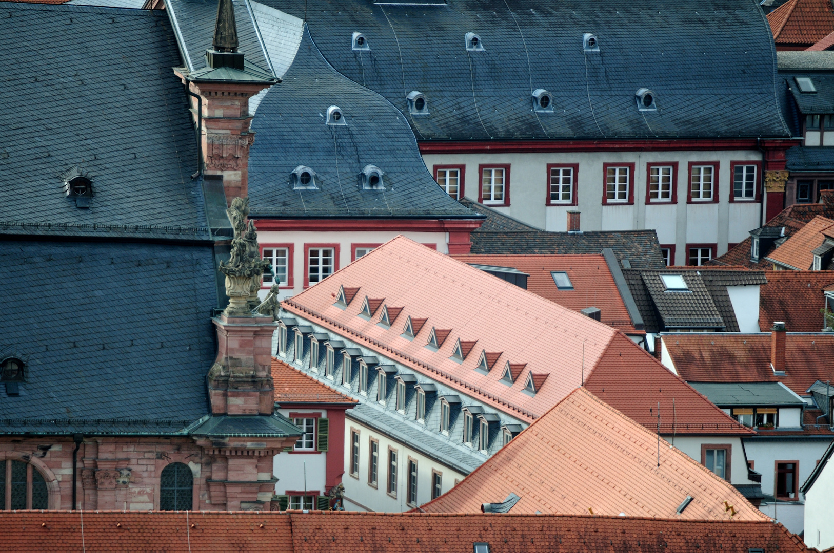 Über den Dächern von Heidelberg DSC_6563