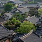 Ueber den Dächern von Jeonju Korea