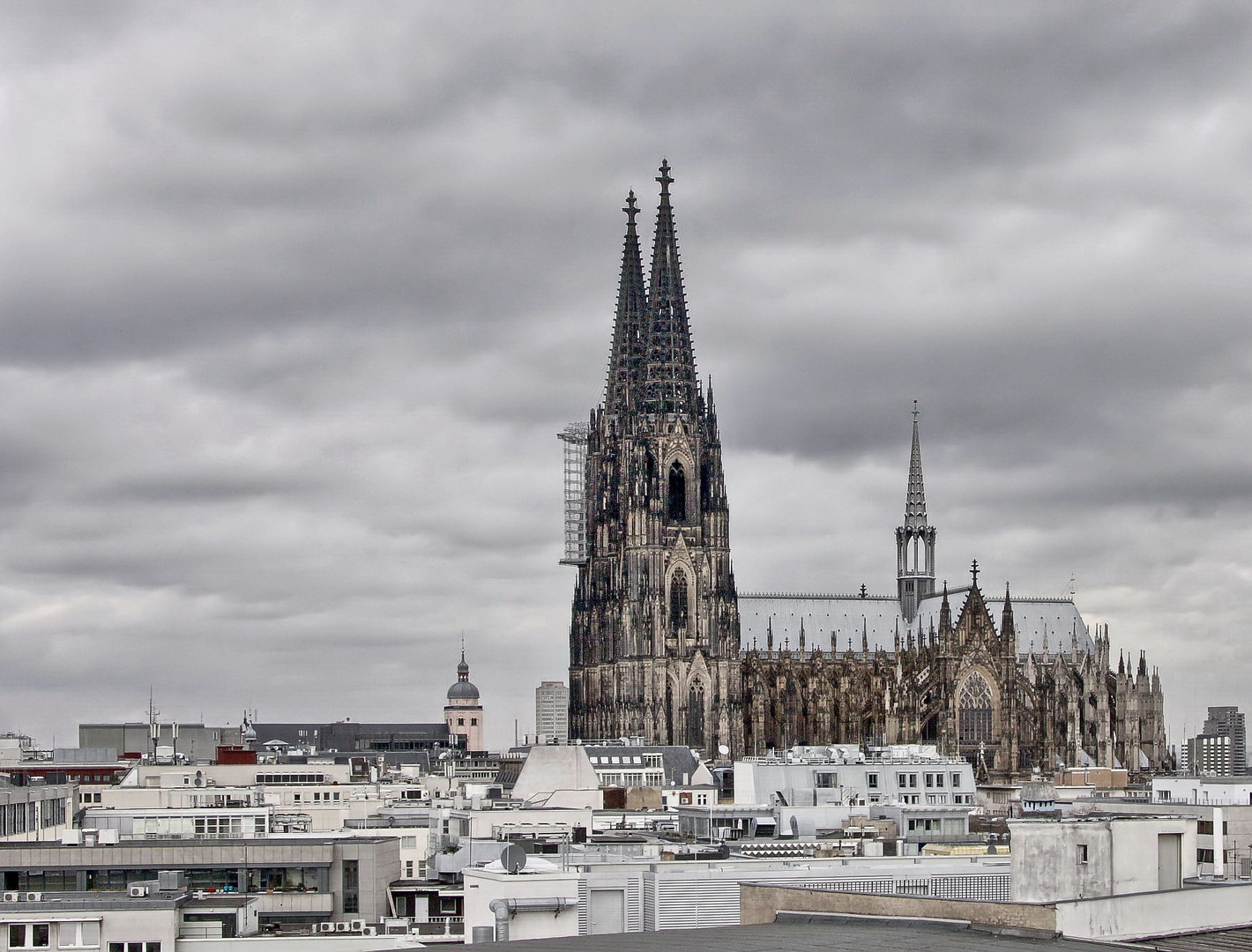 Über den Dächern von Köln