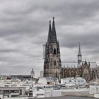 Über den Dächern von Köln