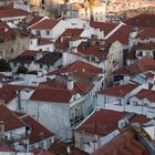 über den Dächern von Lissabon 