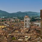Über den Dächern von Lucca