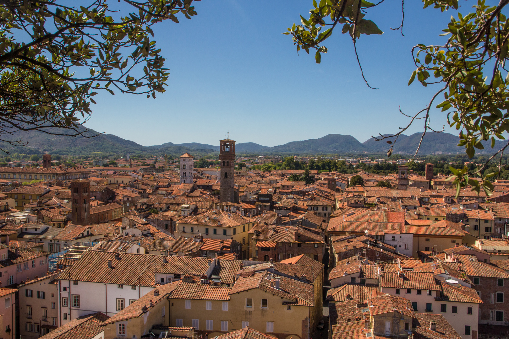 Über den Dächern von Lucca