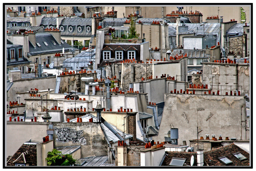 ... über den Dächern von Paris
