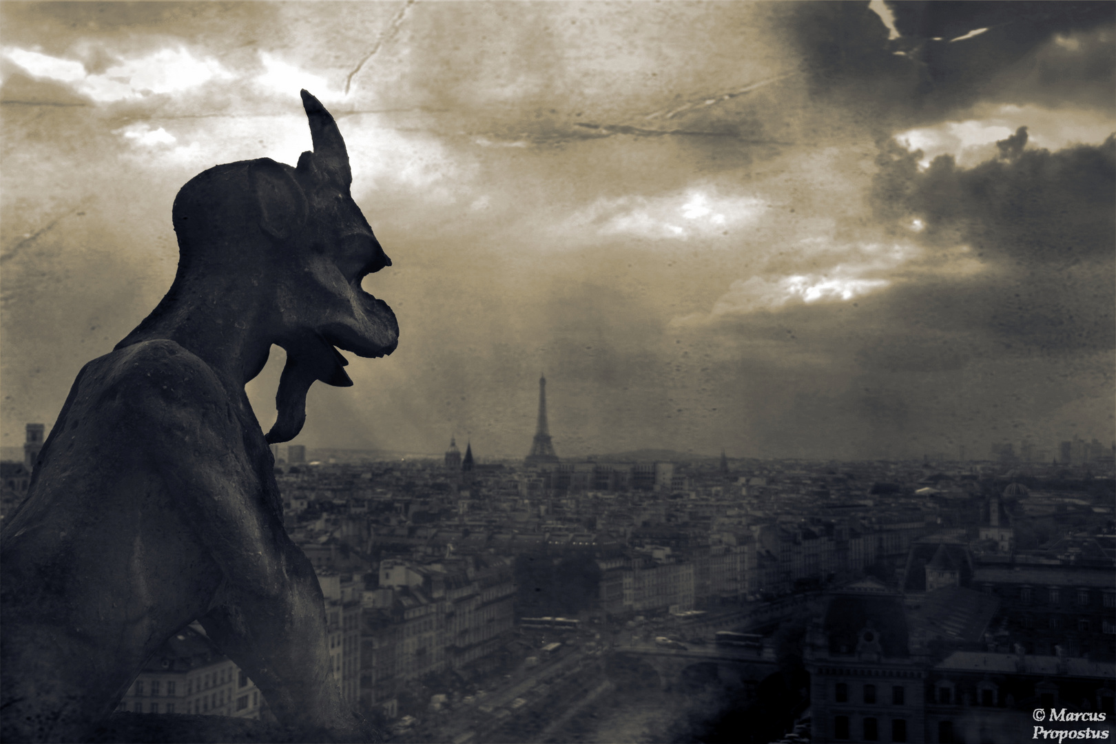 Über den Dächern von Paris Foto & Bild | europe, france ...