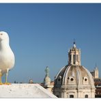 ....über den Dächern von Rom