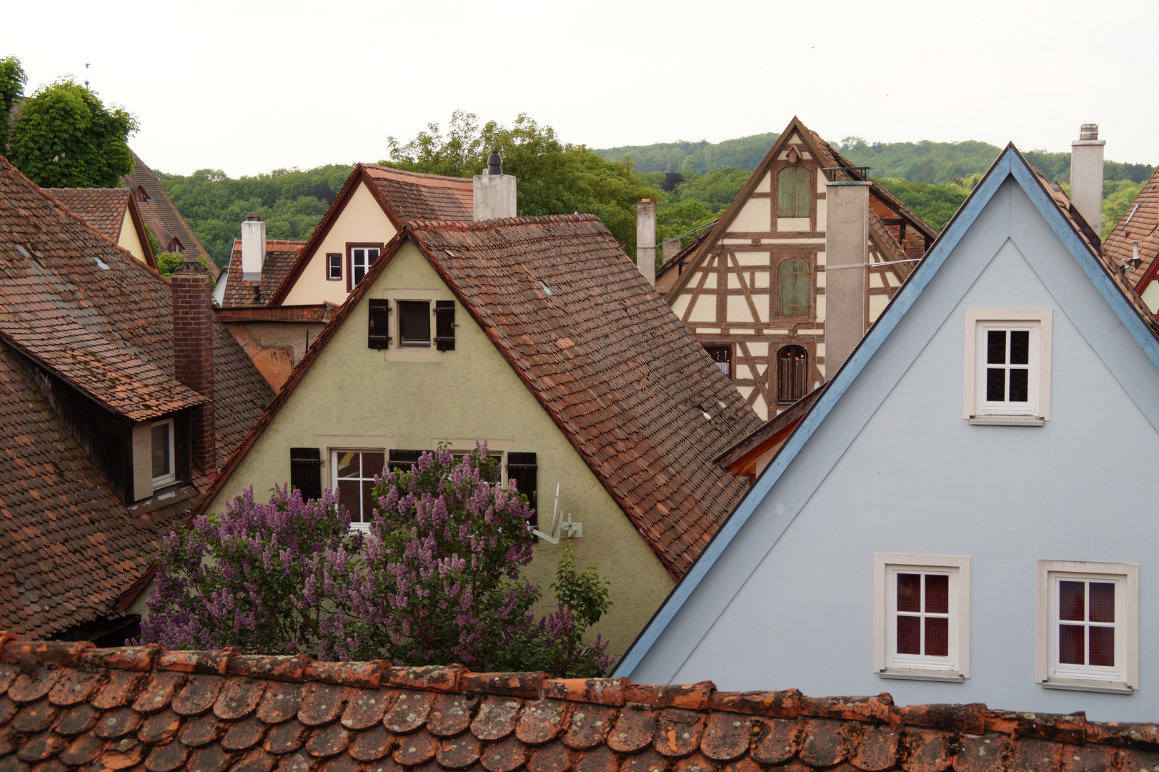 Über den Dächern von Rothenburg o.T.