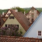 Über den Dächern von Rothenburg o.T.