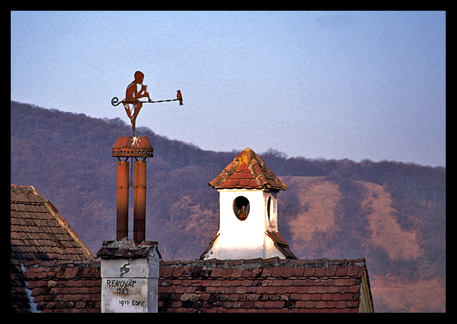 Über den Dächern von Schäßburg