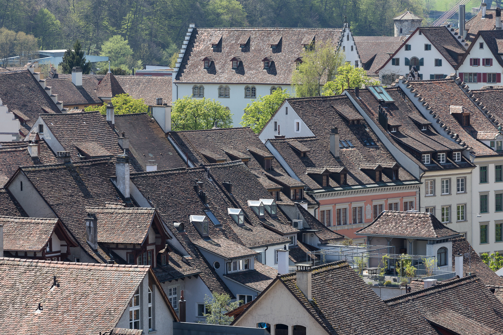 über den Dächern von Schaffhausen..