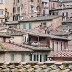 über den Dächern von Siena-1