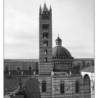 Über den Dächern von Siena