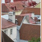 ...über den Dächern von Tallin...