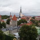 über den dächern von tallinn