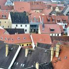 Über den Dächern von Torgau