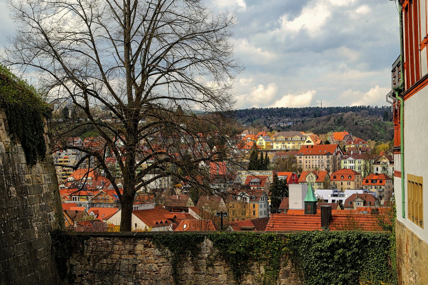 Über den Dächern von Tübingen 1 (2)