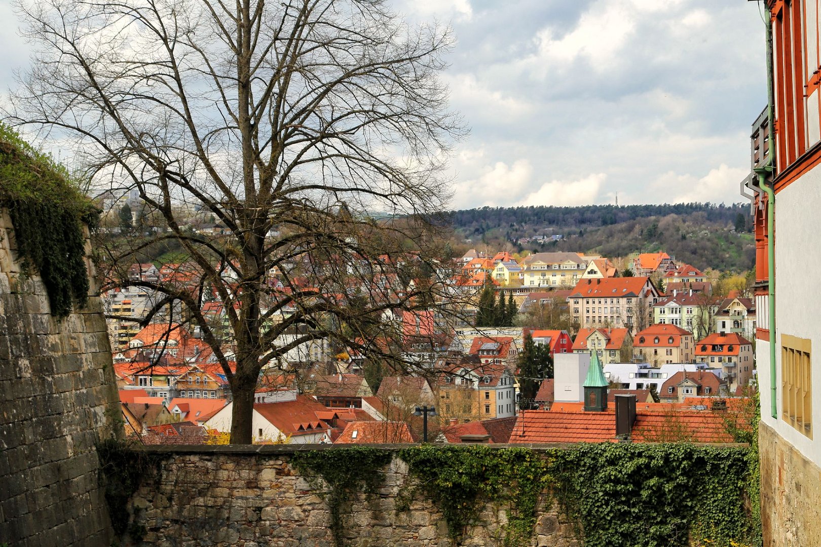 Über den Dächern von Tübingen 1